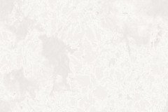 papel-de-parede-colorkey-ref-COL1047